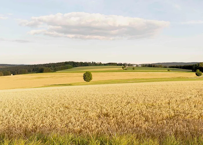 Bantlehof Διαμέρισμα Niedereschach